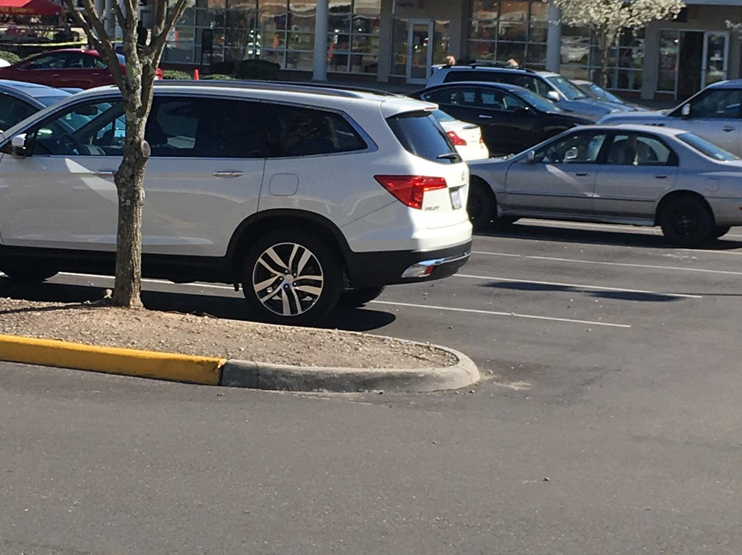 Williamsburg Outlet Mall景点图片