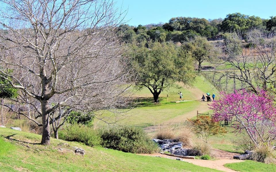 Flat Creek Disc Golf Destination
