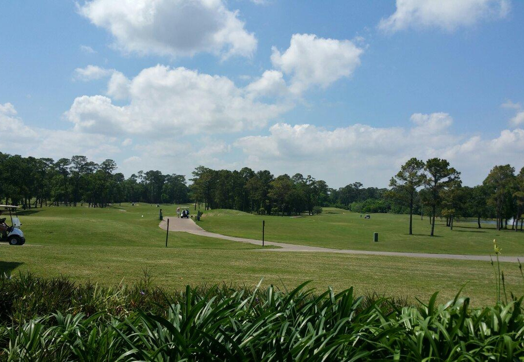 Timber Creek Golf Club景点图片