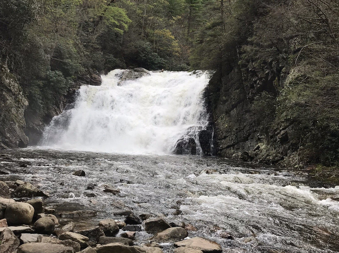 Laurel Fork Falls景点图片