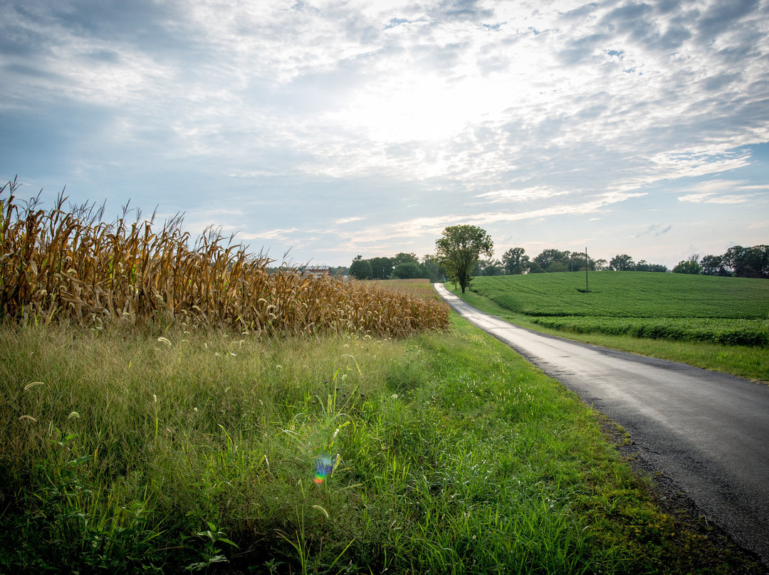 Rabbit Circle-纳什维尔必去景点