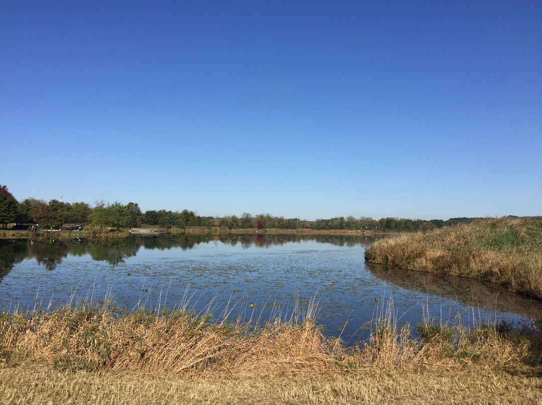 Independence Grove Forest Preserve-Libertyville必去景点