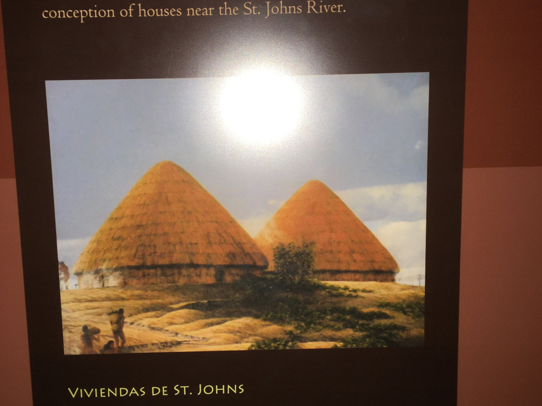 Museum of Florida History景点图片