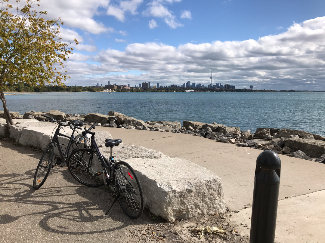 Wheel Excitement Inc-多伦多必去景点