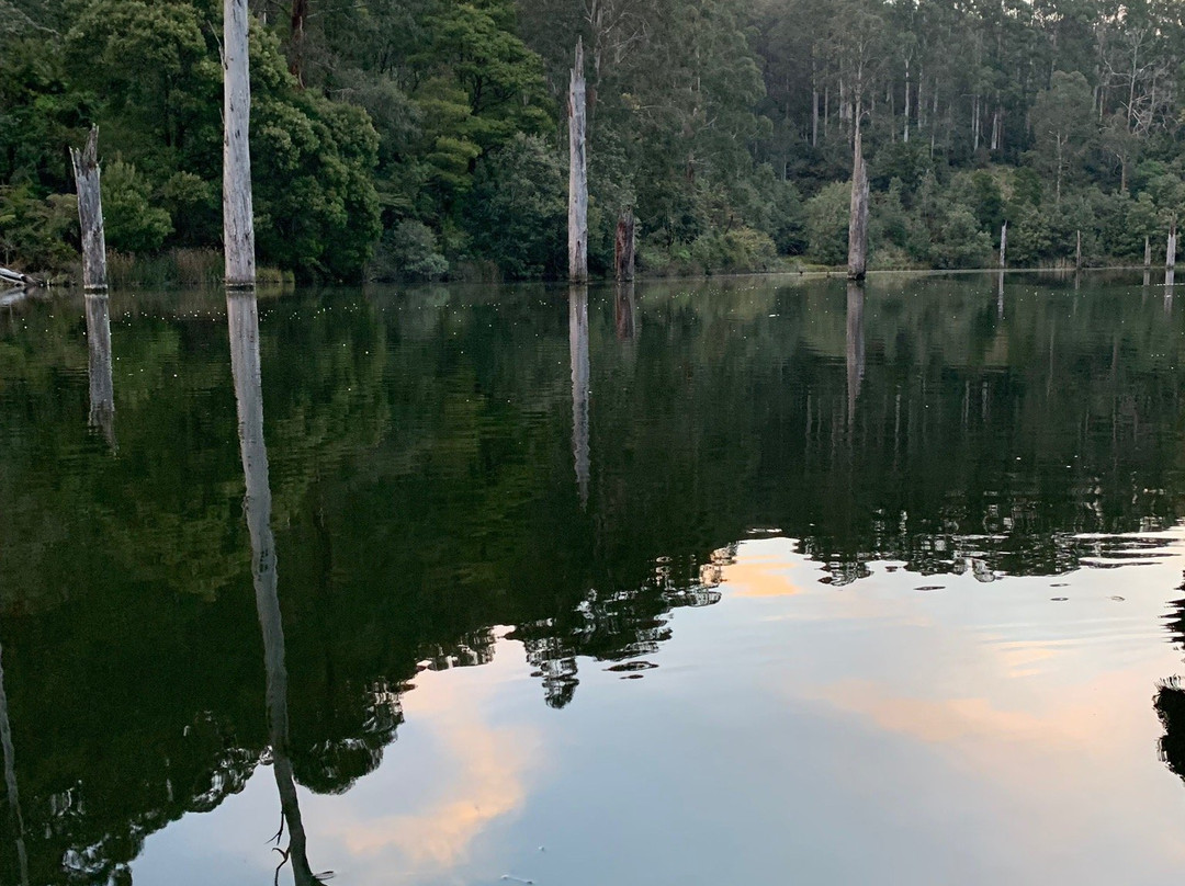 Lake Elizabeth-Forrest必去景点