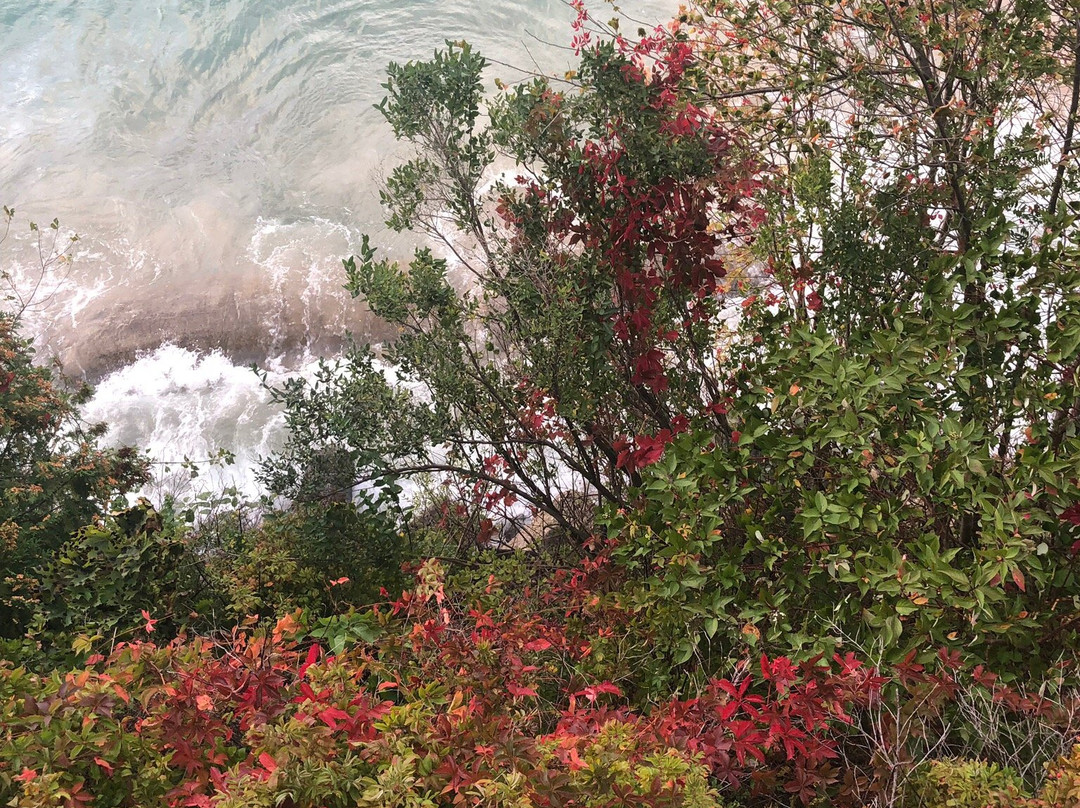 Charlevoix House主图