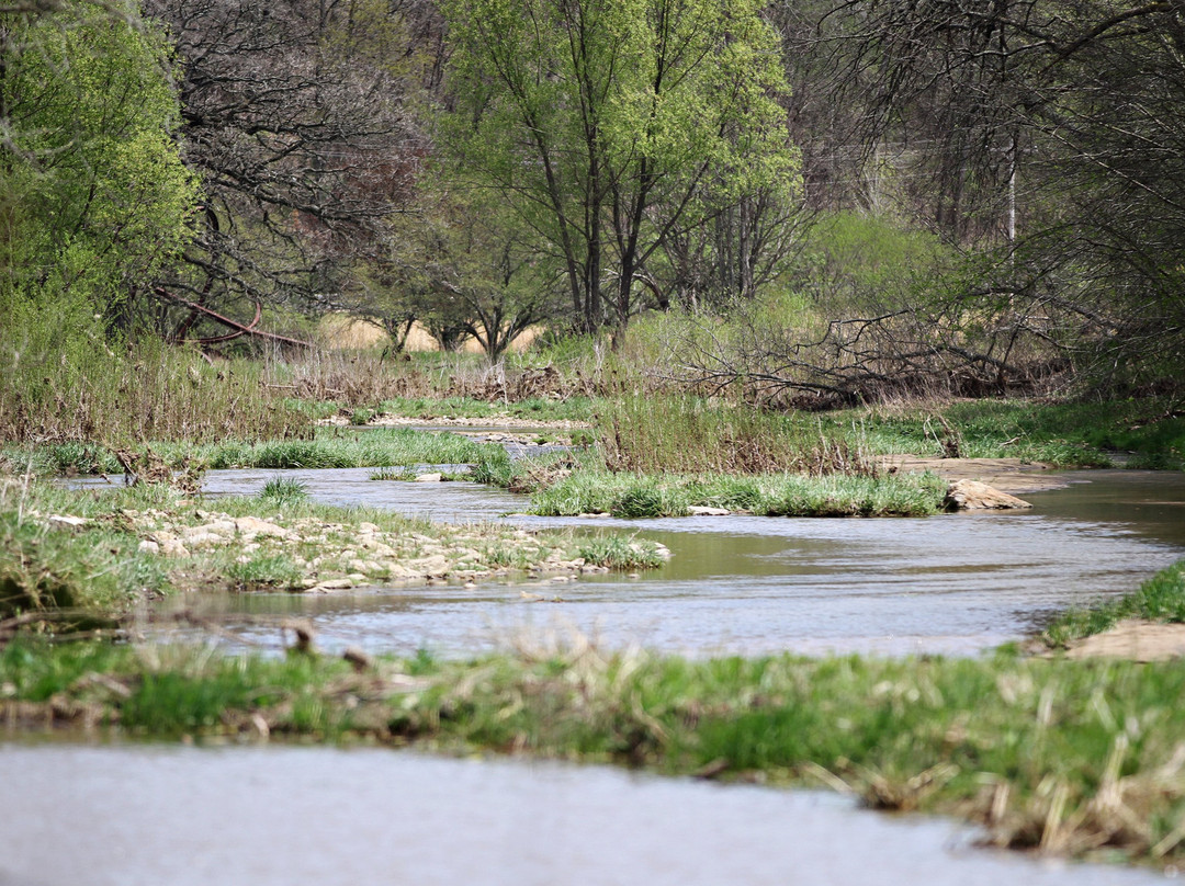 Second Nature at Reads Creek景点图片