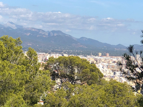 GreenTours Palma-马洛卡帕尔马必去景点