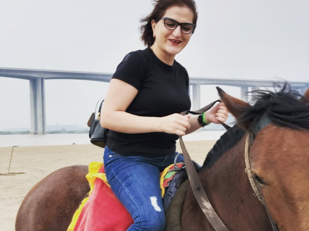 黄河碑林-郑州市必去景点