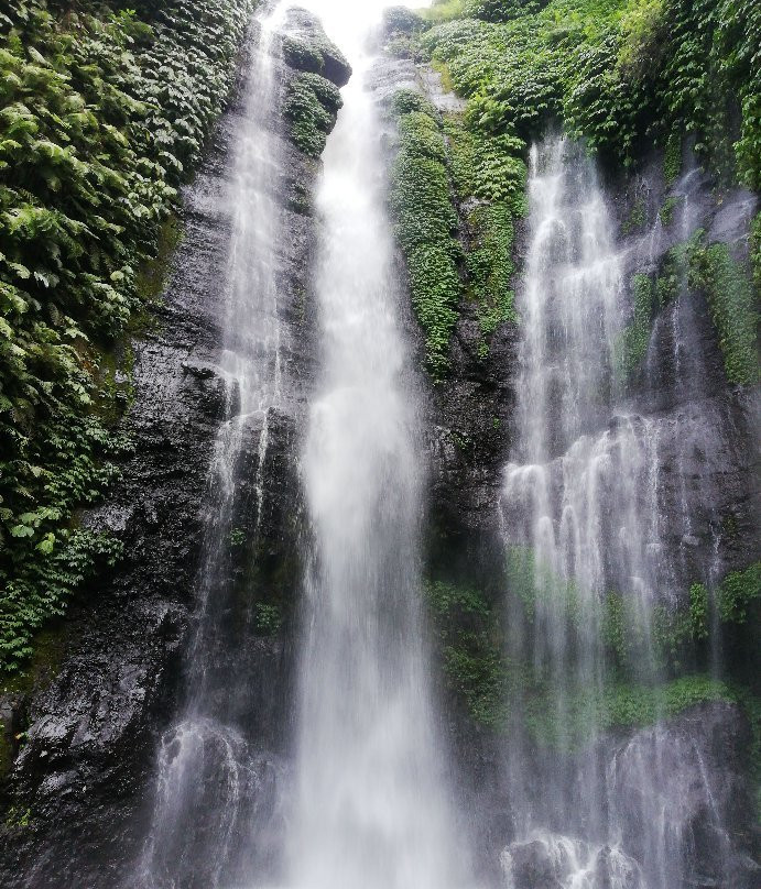 Fili Waterfall景点图片
