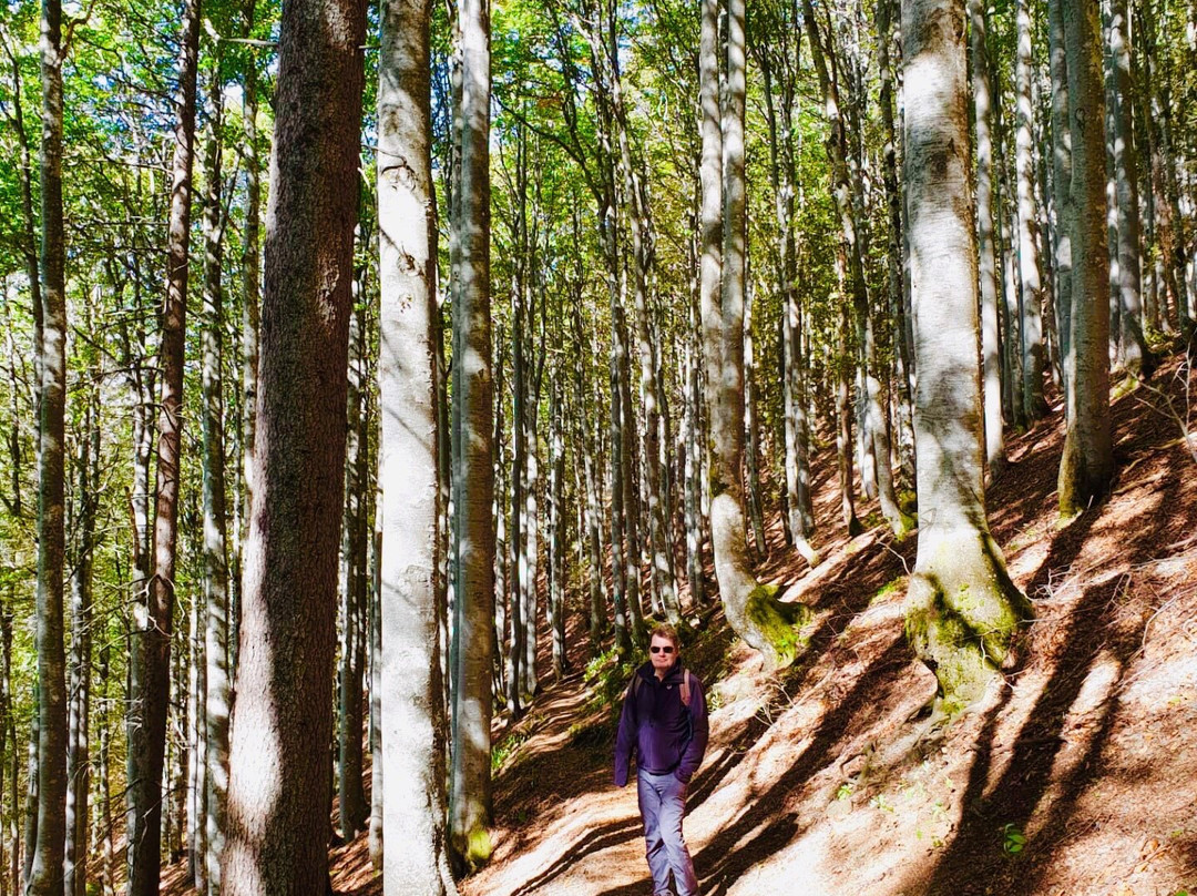 Hochtal Steig-Bernau im Schwarzwald必去景点