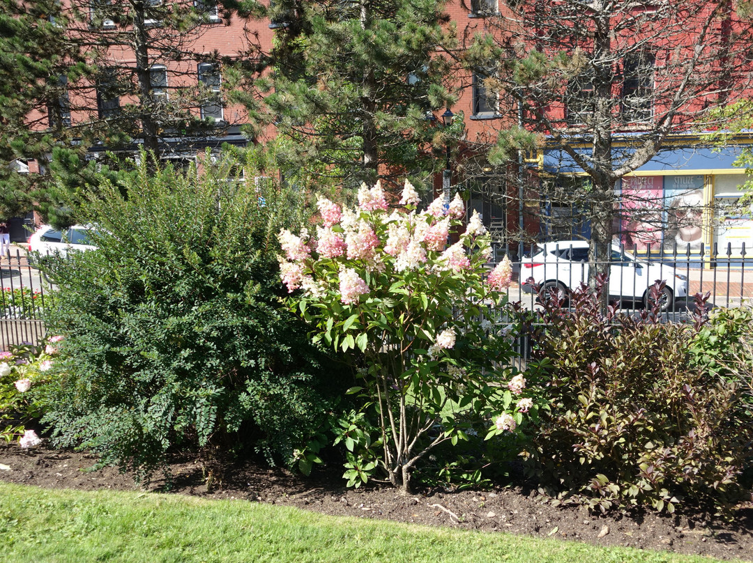 Trinity Church-圣约翰必去景点