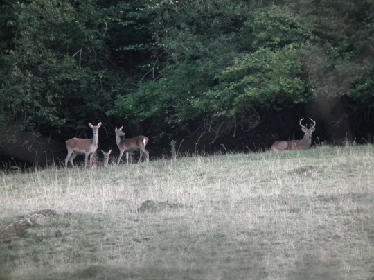 Mas du Cresponnet主图