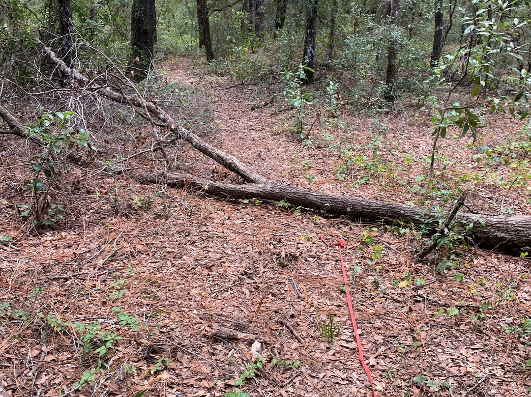 Whispering Pines Park-因弗内斯必去景点