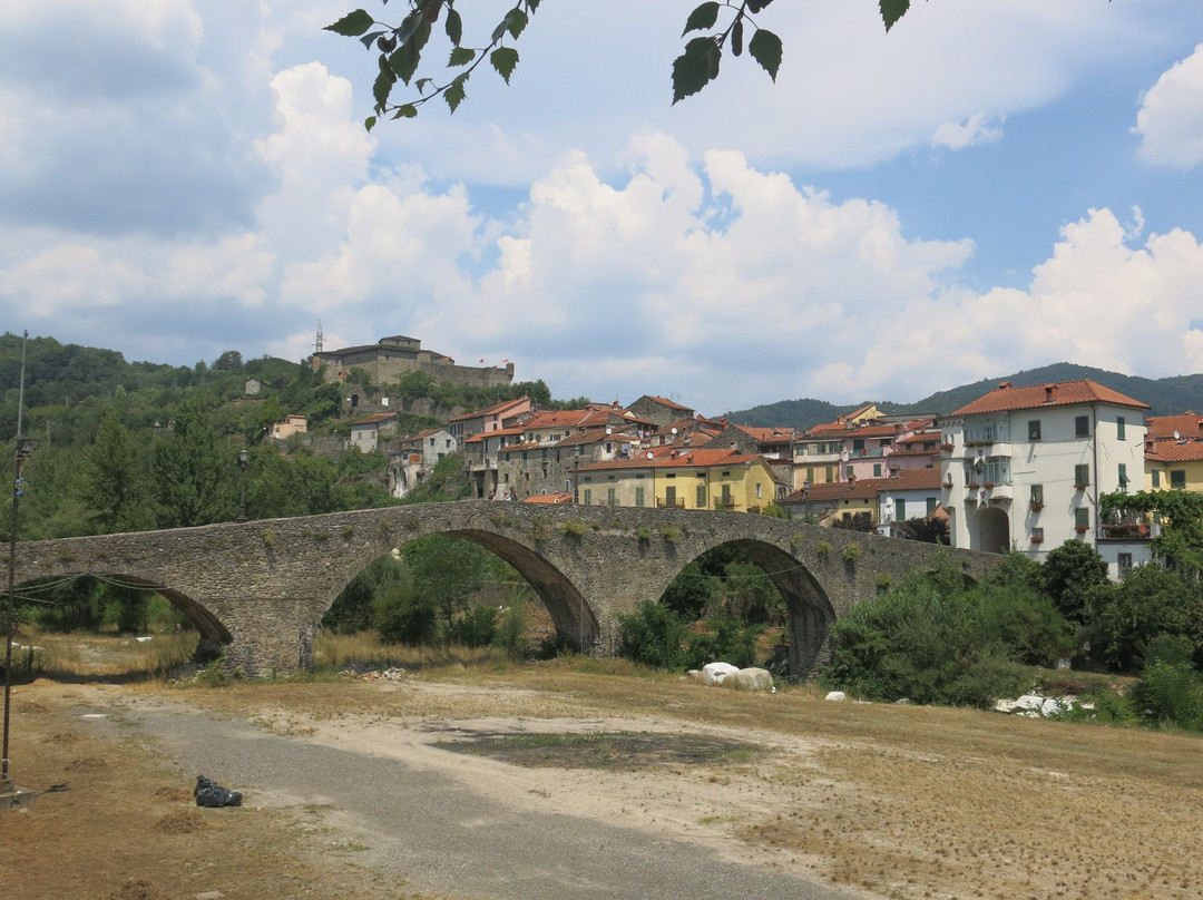 Ponte della Cresa景点图片