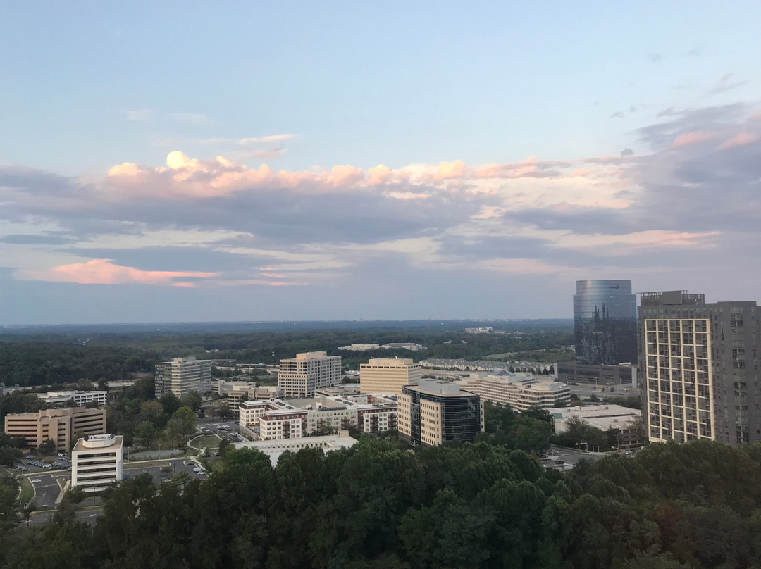 The Ritz-Carlton, Tysons Corner主图