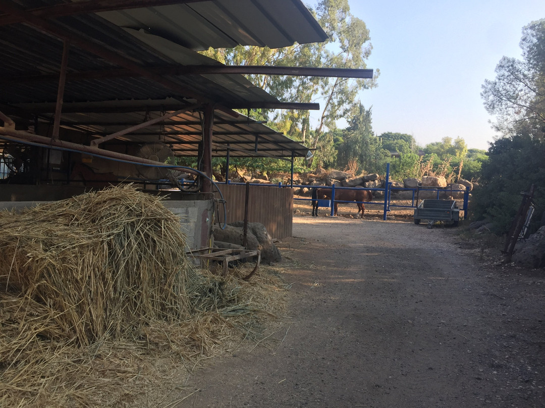 Vered Hagalil Holiday Village Hotel主图