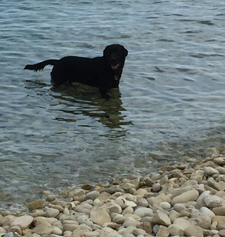 Glyfada Beach Villas & Restaurant主图