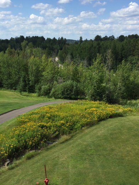 Fortune Bay Resort Casino-酒店景观