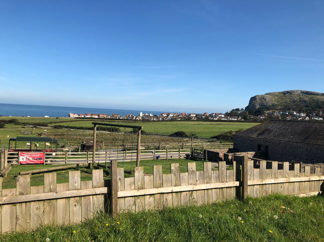 Bodafon Farm Park-兰迪德诺必去景点