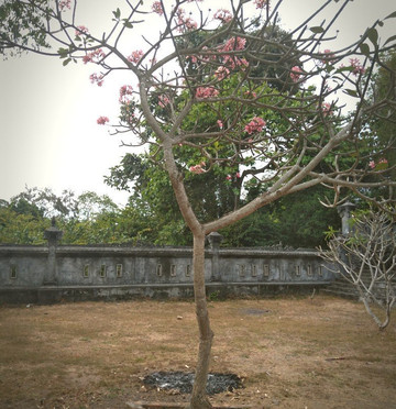 Pura Tirtha Segara Rupek-吉利马努克必去景点