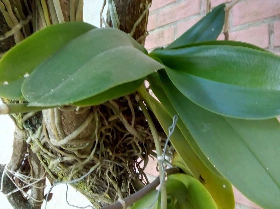 Iguaba Grande Beach-Sao Pedro da Aldeia必去景点