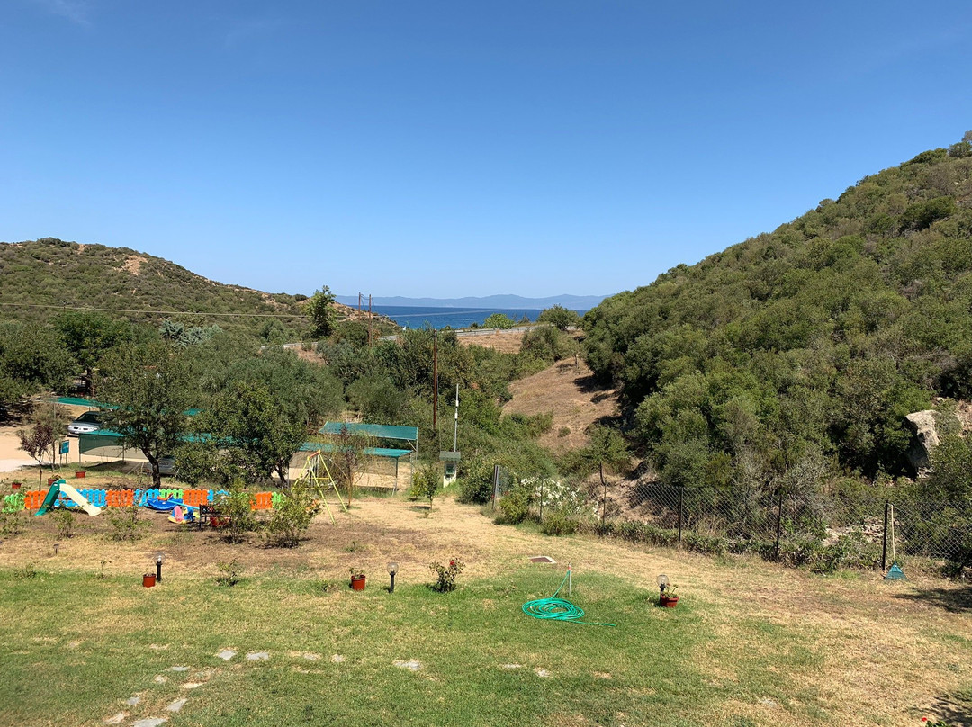 Platania House主图