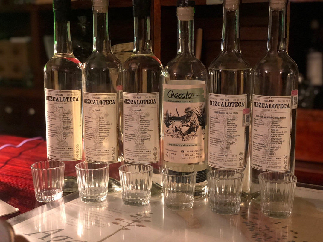 Mezcaloteca-瓦哈卡必去景点