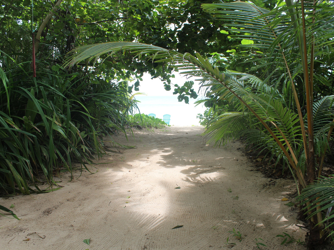 Sea Change Eco Retreat主图