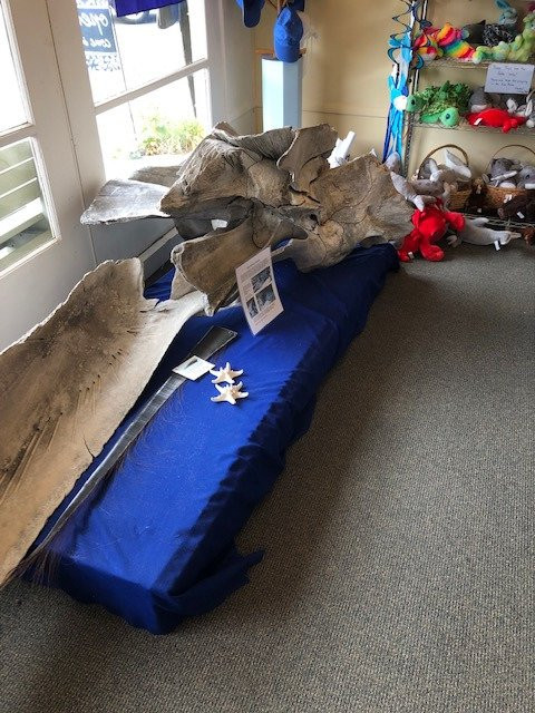 Langley Whale Center-Langley必去景点