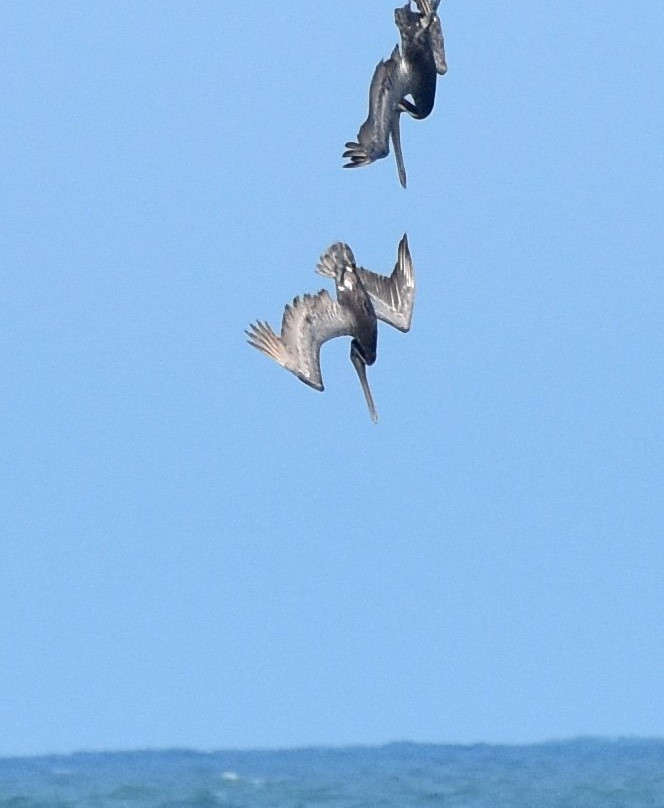 Barrier Islands Eco Tours-棕榈岛必去景点