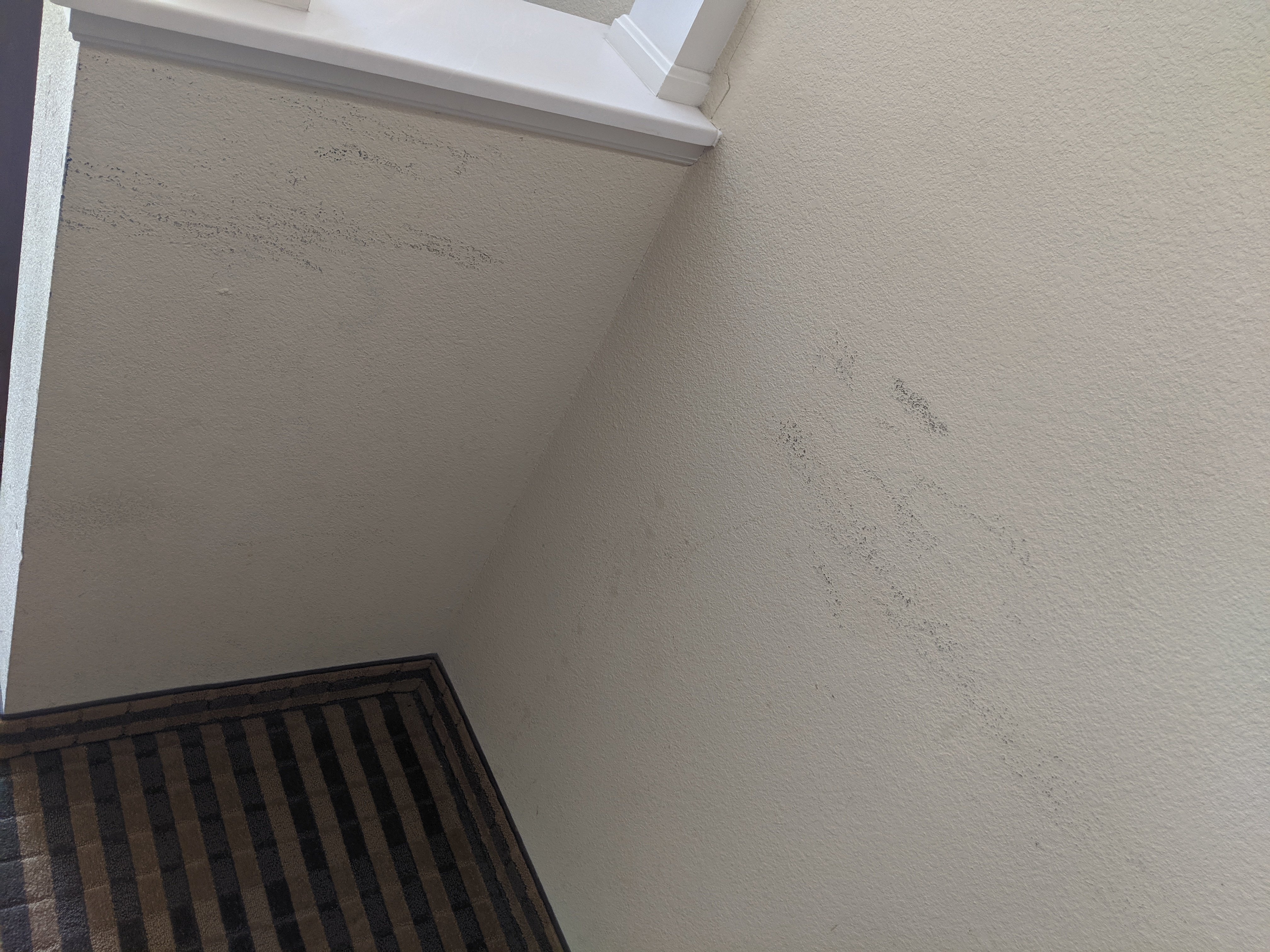 Holiday Inn Express & Suites Waxahachie by IHG-官方