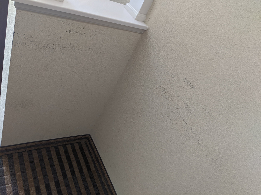 Holiday Inn Express & Suites Waxahachie by IHG主图