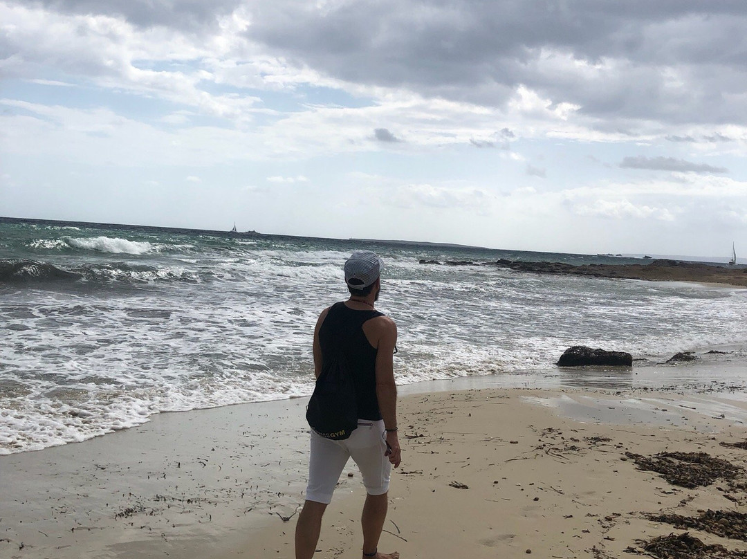 Platja Des Cavallet-伊维萨城区必去景点