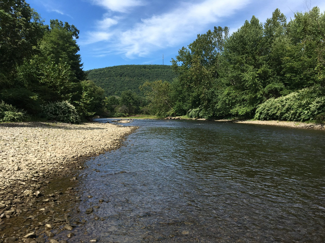 New Island Trail-Oneonta必去景点