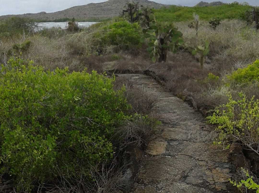 El Túnel del Estero-维里亚米尔港必去景点