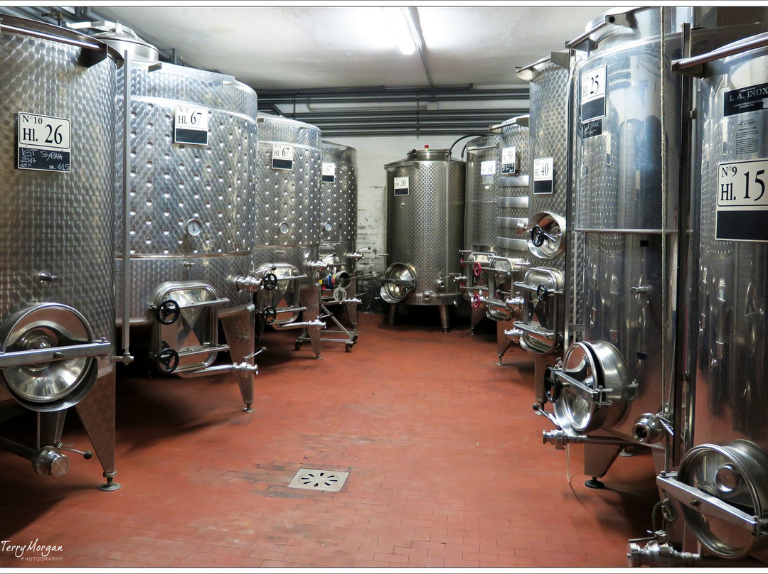 Poggio al Sole Winery景点图片