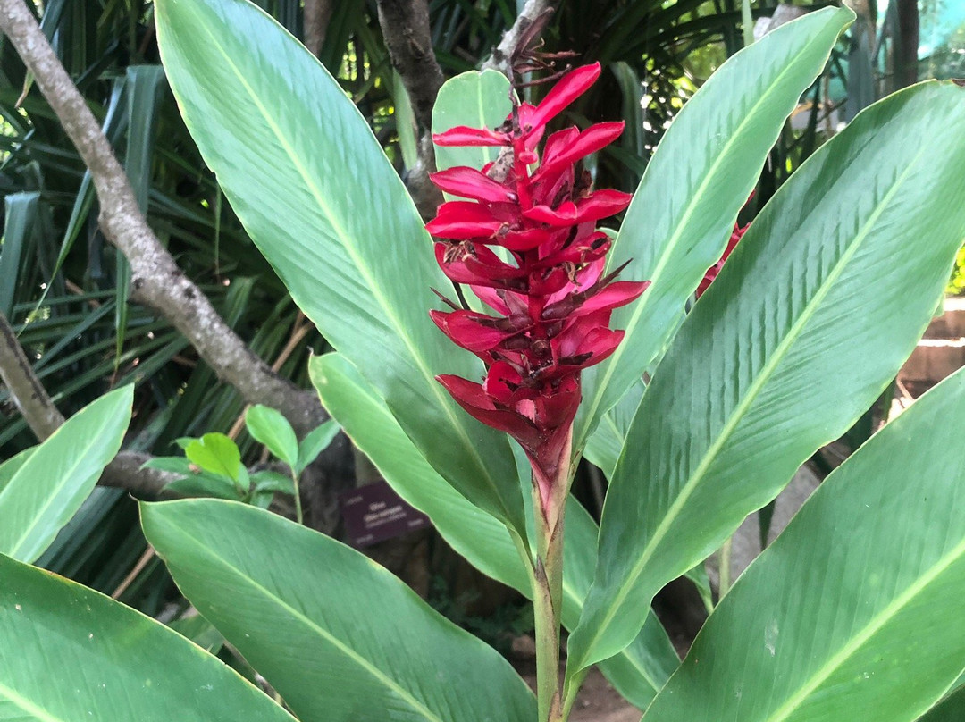 Jardín Botánico de Acapulco-阿卡普尔科必去景点