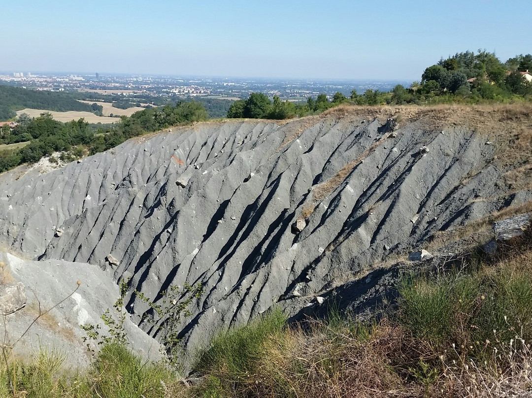 Parco dei Gessi Bolognesi景点图片