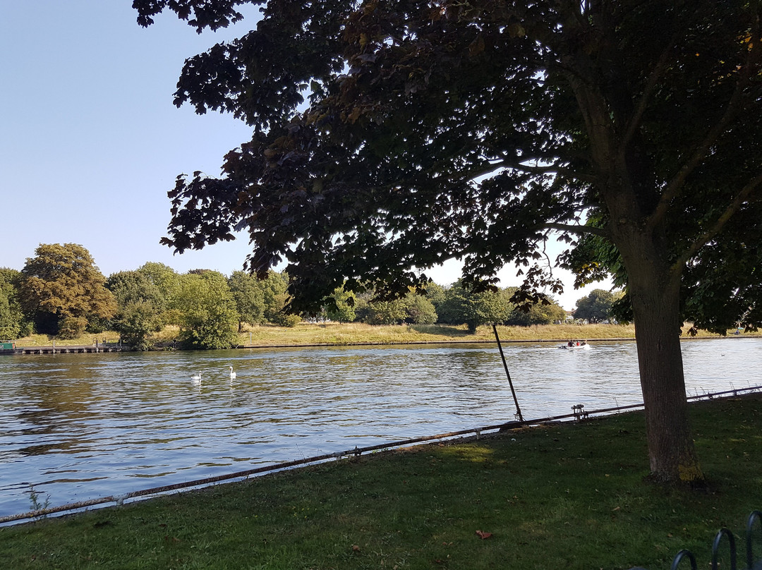 The Lensbury Resort主图