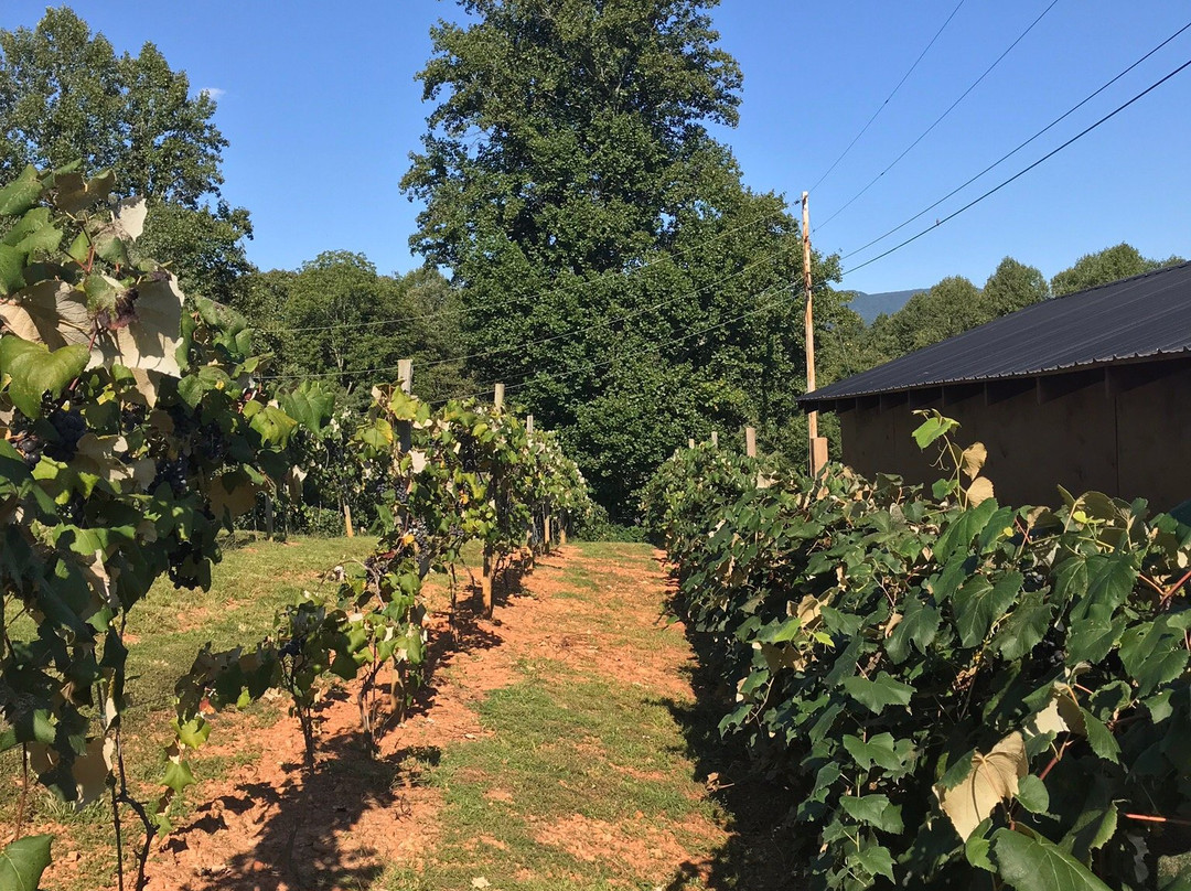 Eagle Fork Vineyards-Hayesville必去景点