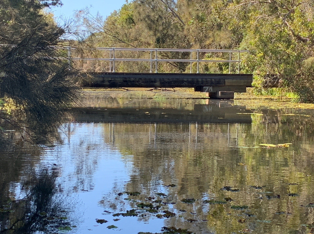 Baldwin Swamp Environment Park景点图片