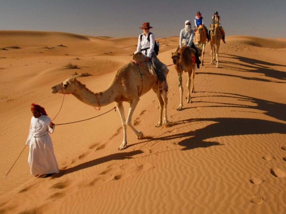 Al Sharqiya Sands主图