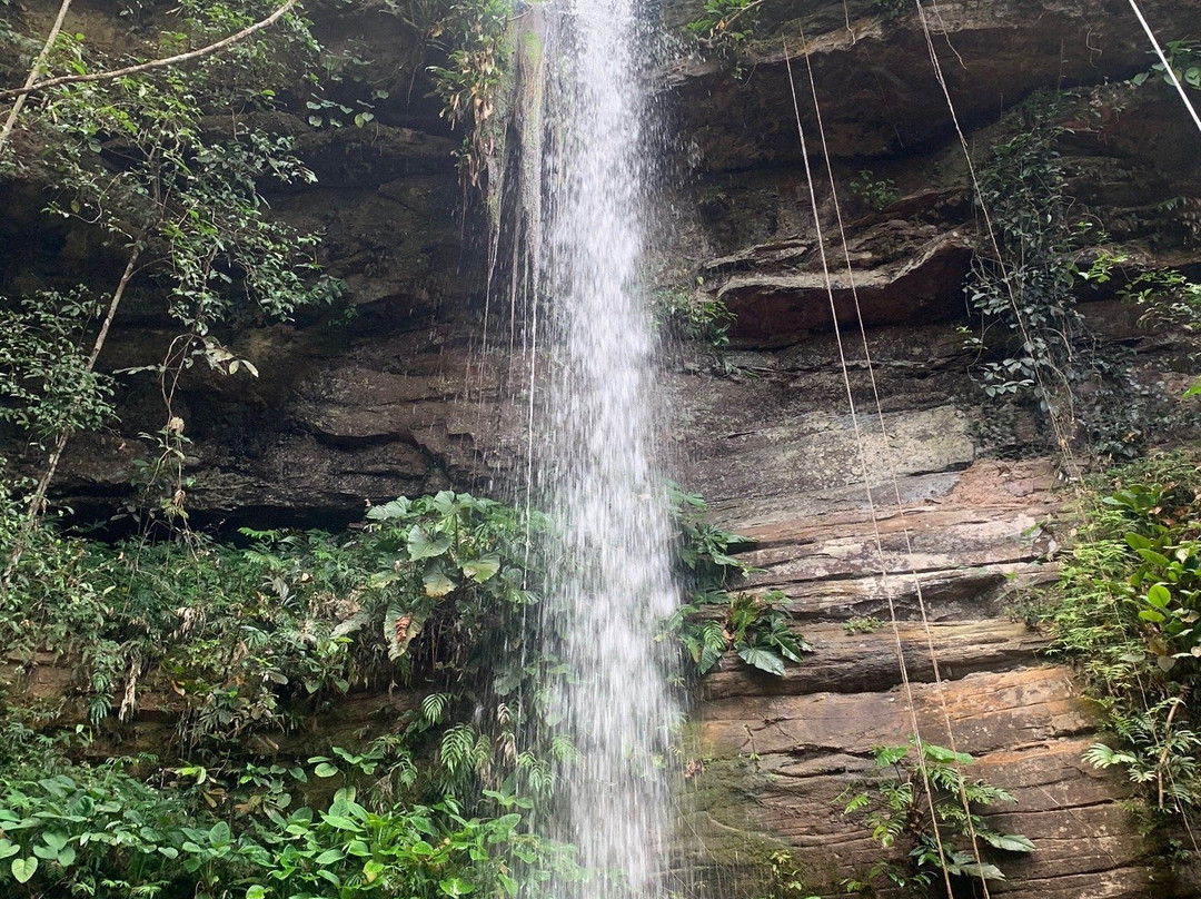 Cachoeira Salto do Ipy-Presidente Figueiredo必去景点
