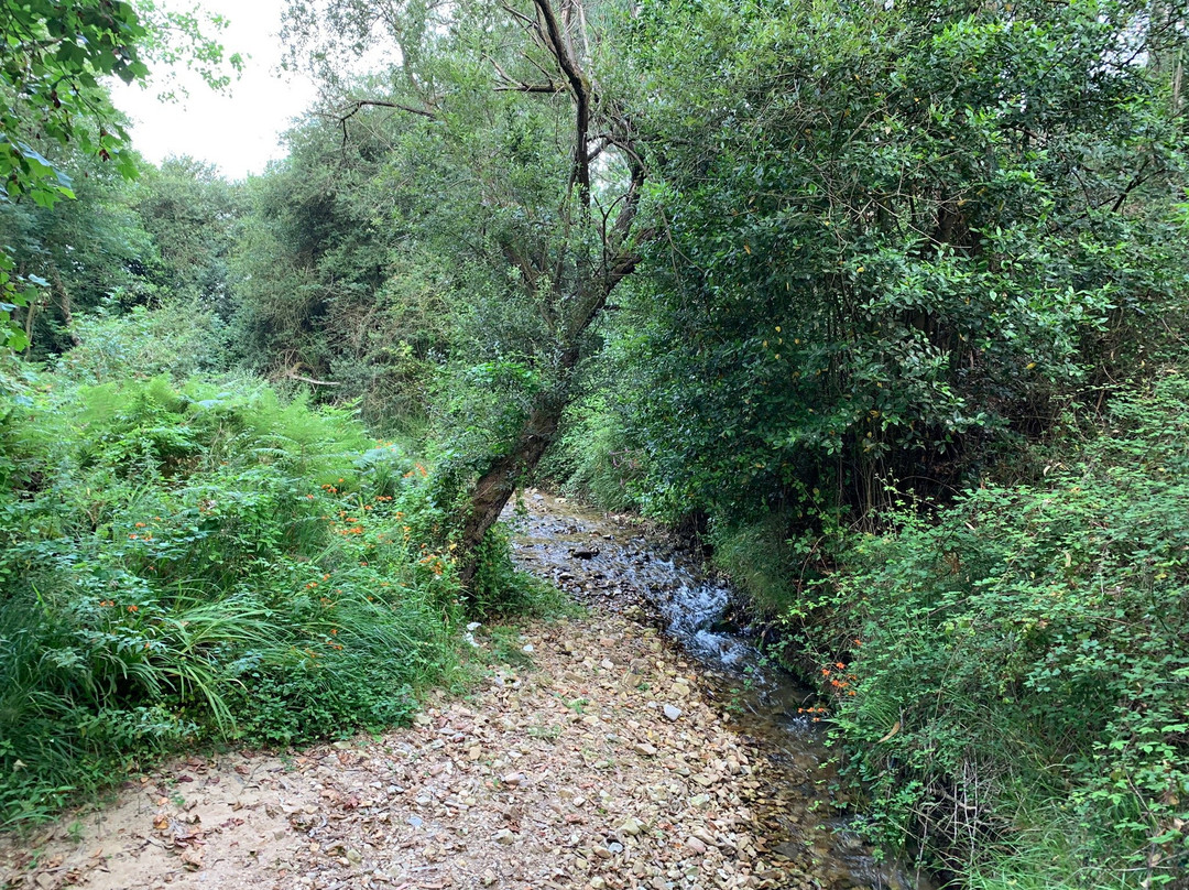 Playa La Huelga-Villahormes必去景点
