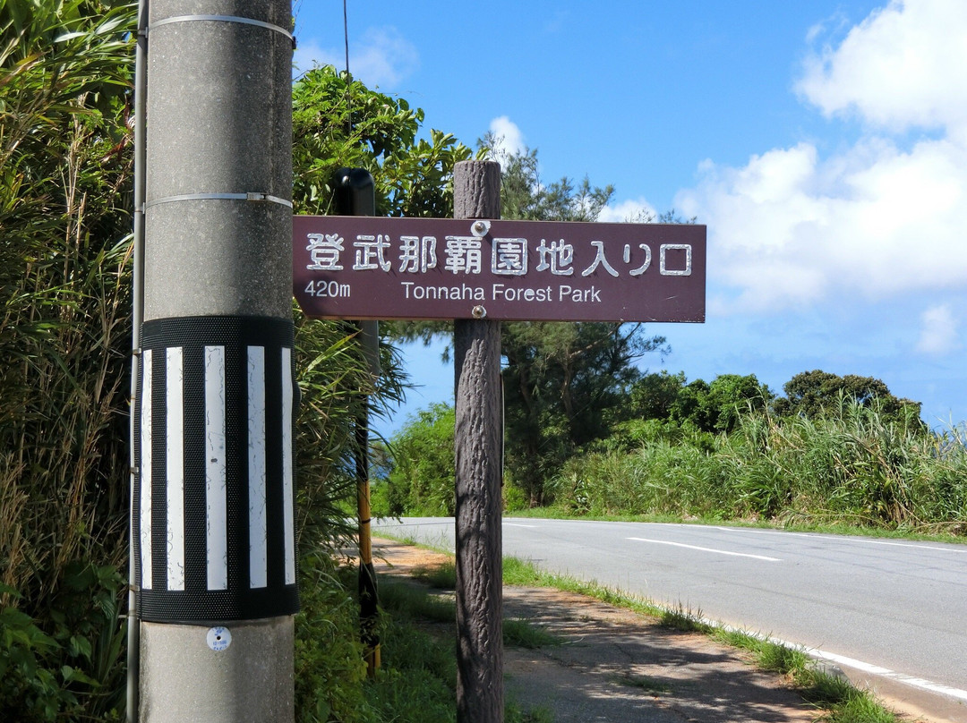 Kumejima Nature Park Tonnahaenchi景点图片
