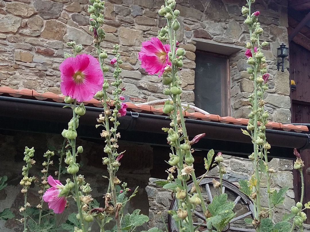 Rifugio del Lupo