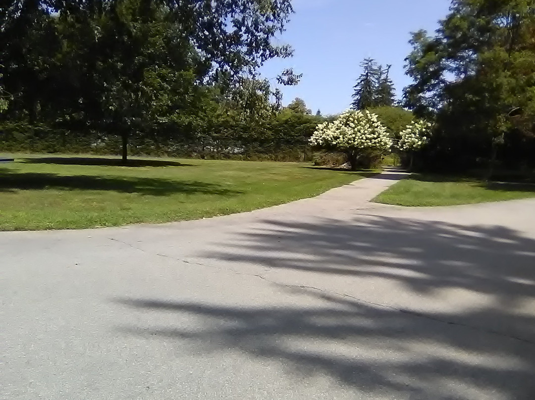 Franklin D. Roosevelt Presidential Library and Museum-海德公园必去景点