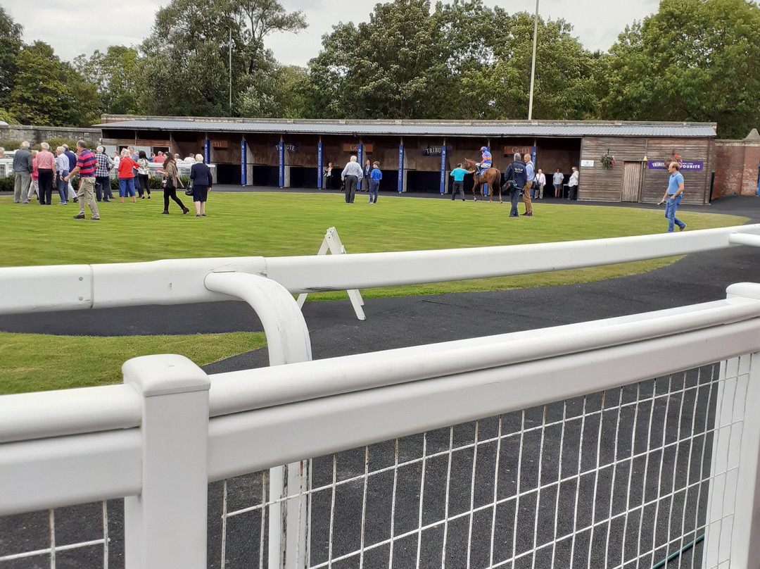 Newton Abbot Racecourse and Conference Centre景点图片