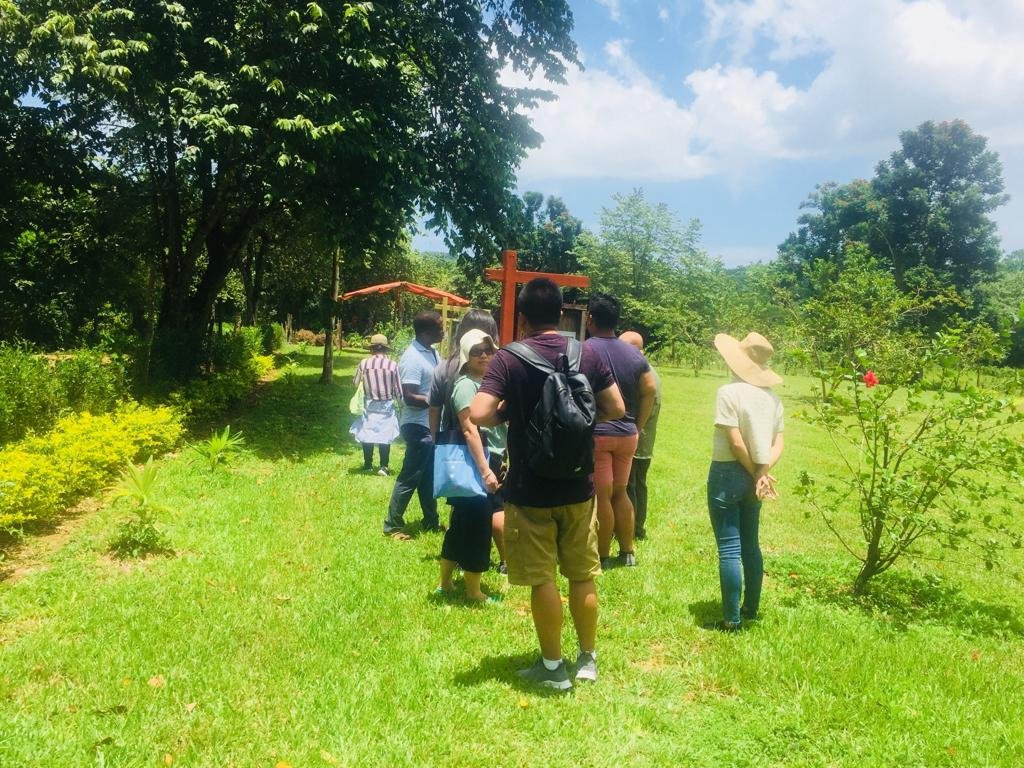 Ilysse Experiences: Culture Market Jamaica-Unity必去景点